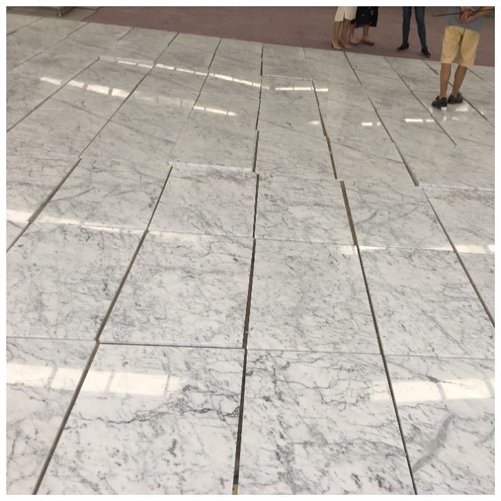 Bianco Carrara Marble Floor Tile