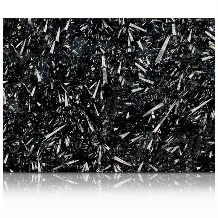 Fossil Black Marble Slabs