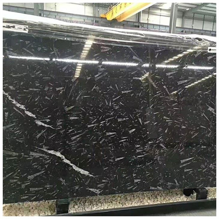 Fossil Black Marble