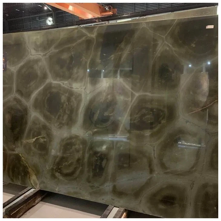  Turtle Illusion Quartzite Polished Slabs